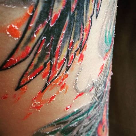 dried plasma on tattoo|Plasma Build Up And The Tattoo Healing Process。